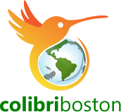 Colibri Boston